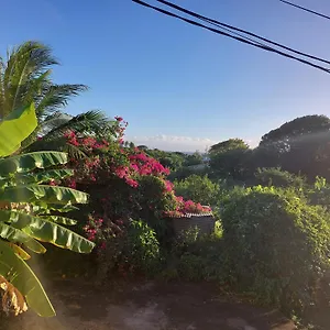La Jemeli Grand-Bourg (Marie Galante)